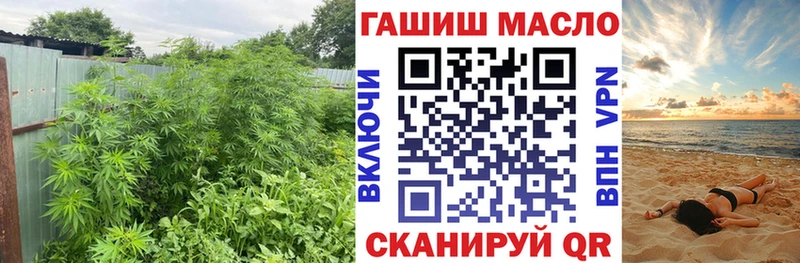 ТГК гашишное масло  Купить  Сусуман 