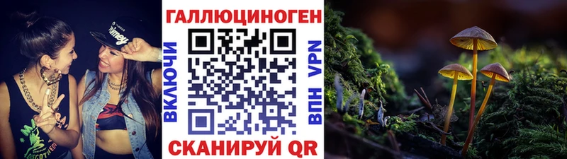 Псилоцибиновые грибы мухоморы  Купить где  Сусуман 